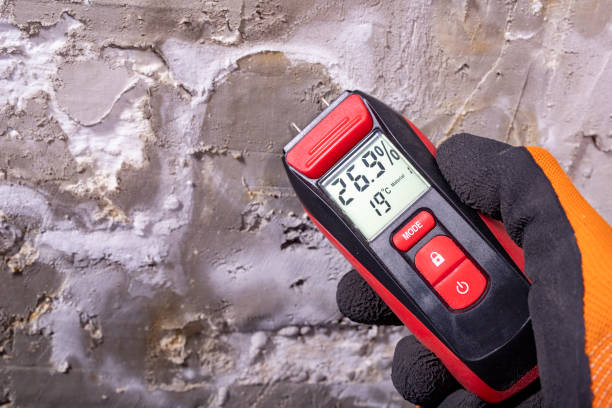 Home Mold Removal in Pine Knot, KY