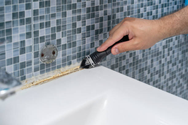 Professional Mold Removal in Pine Knot, KY